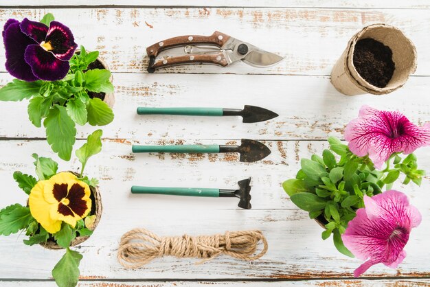 Jak wybrać i pielęgnować różne odmiany sadzonek dla twojego ogrodu?